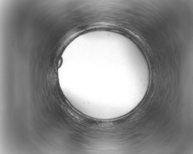 X0000051911363200507222057