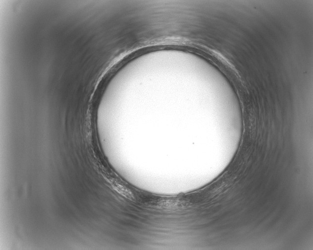 X0000051911364200507222057