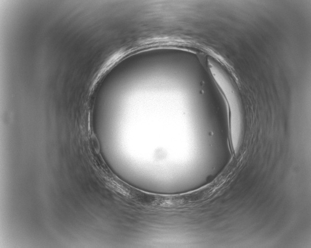 X0000051911365200507222057