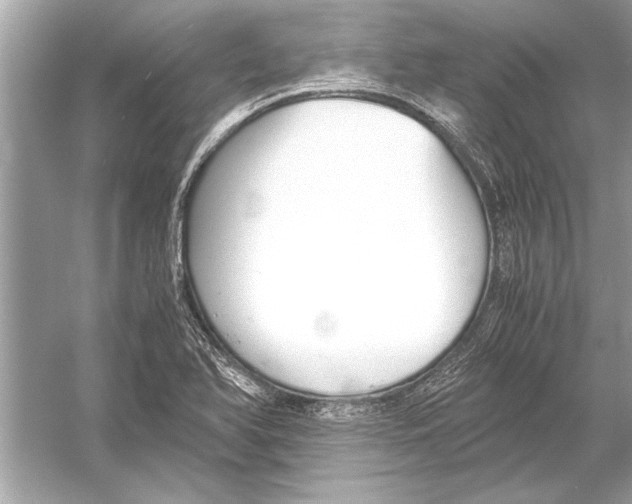 X0000051911366200507222057