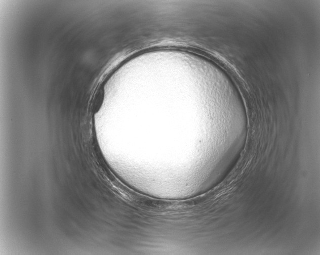 X0000051911367200507222057