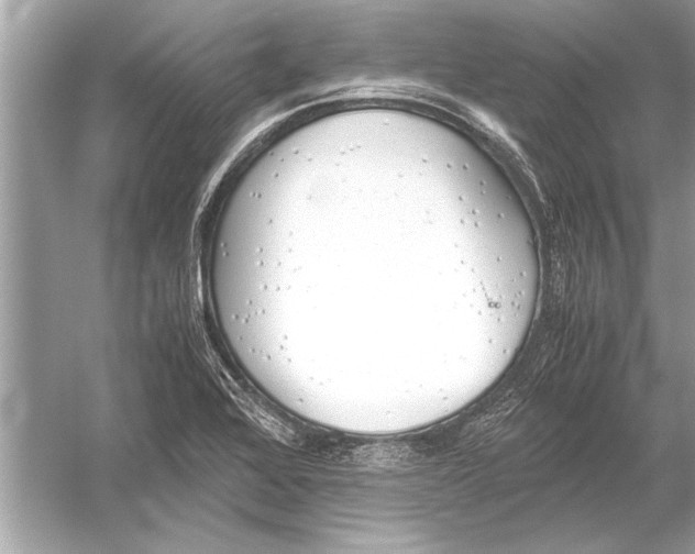 X0000051911368200507222057