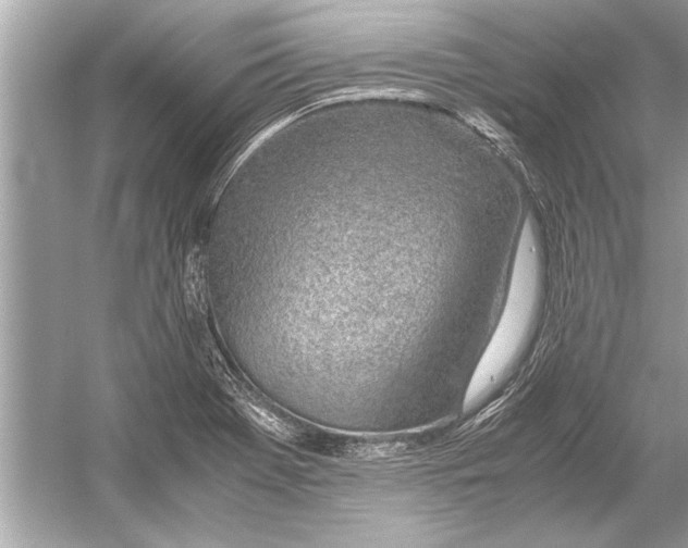 X0000051911369200507222057