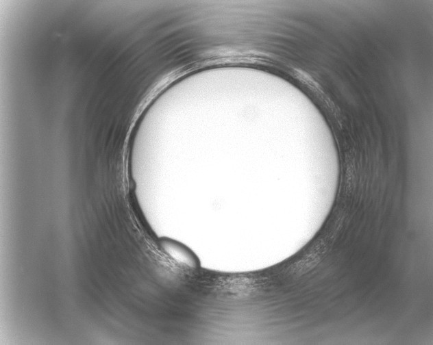 X0000051911370200507222057