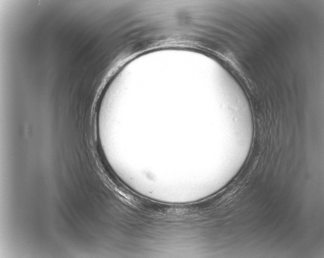 X0000051911371200507222057