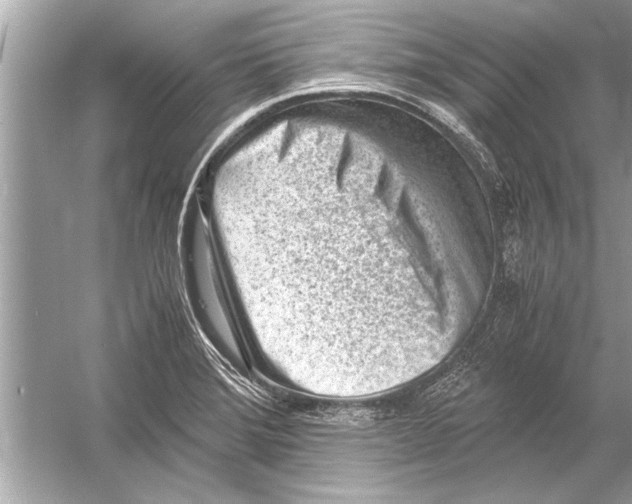 X0000051911372200507222057