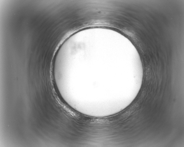 X0000051911374200507222057