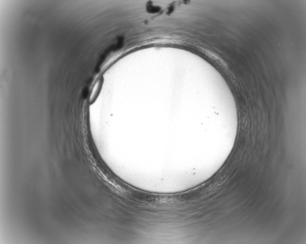 X0000051911375200507222057