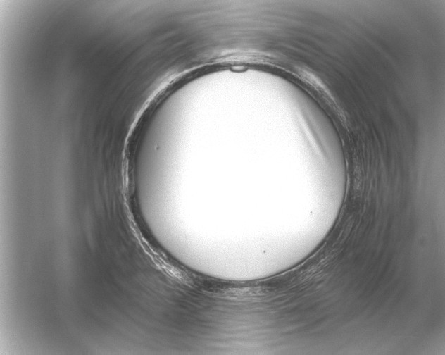 X0000051911376200507222057