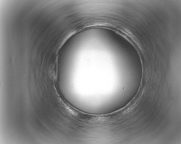 X0000051911377200507222057