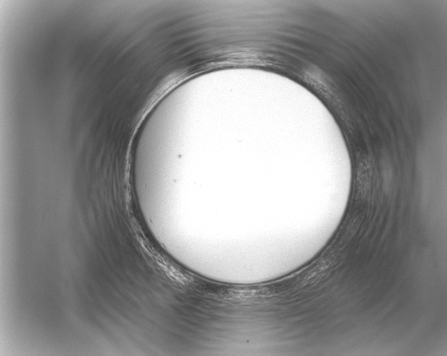 X0000051911378200507222057