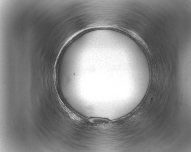 X0000051911380200507222057