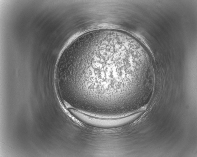 X0000051911381200507222057