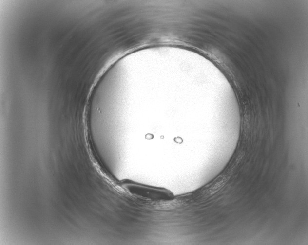 X0000051911382200507222057