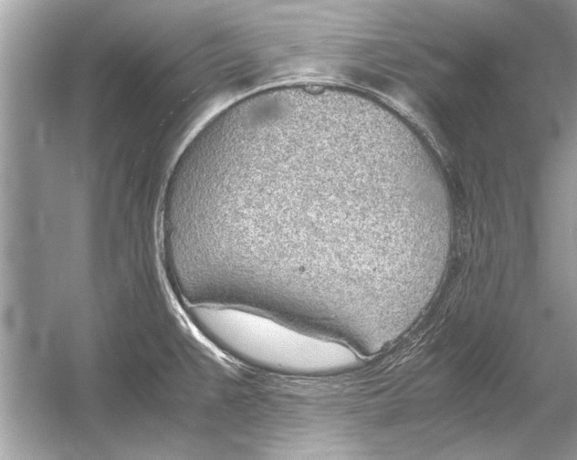 X0000051911383200507222057