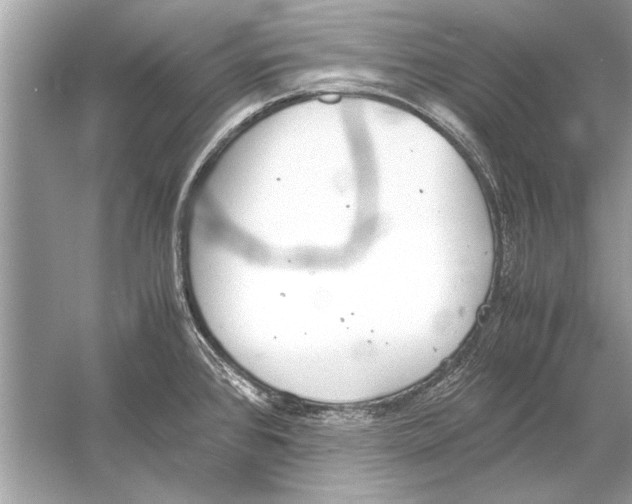 X0000051911384200507222057