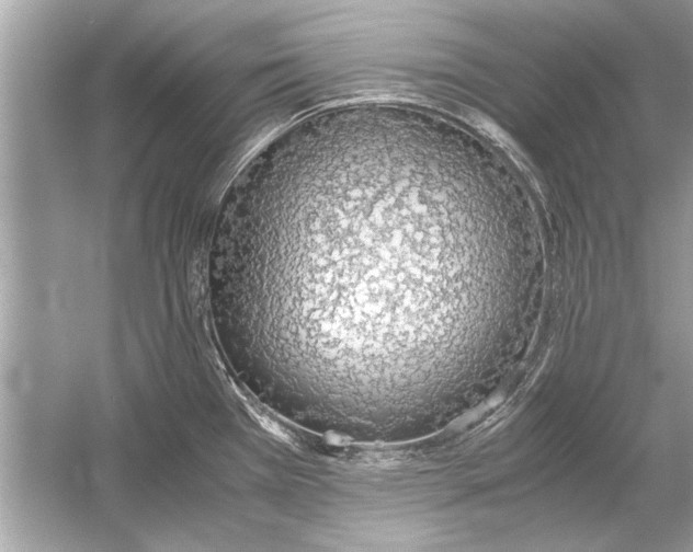 X0000051911385200507222057