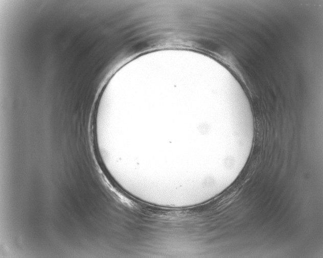 X0000051911387200507222057