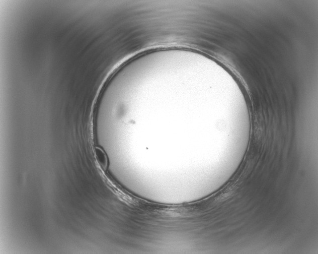 X0000051911388200507222057