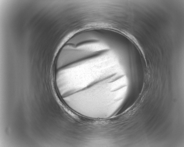 X0000051911389200507222057