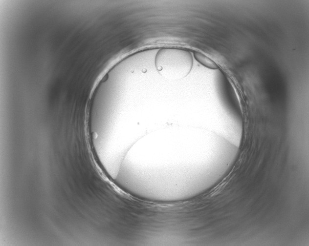 X0000051911390200507222057