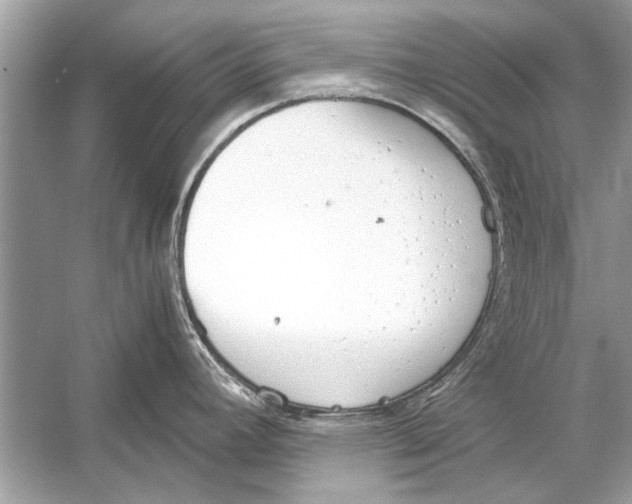 X0000051911392200507222056