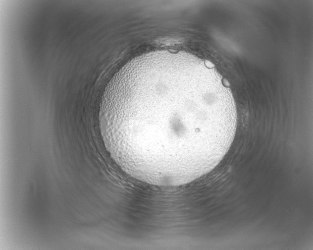 X0000051911393200507222056