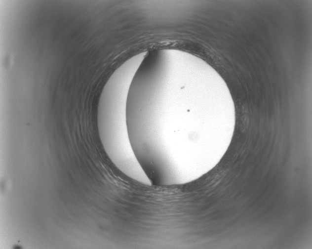 X0000051911394200507222056