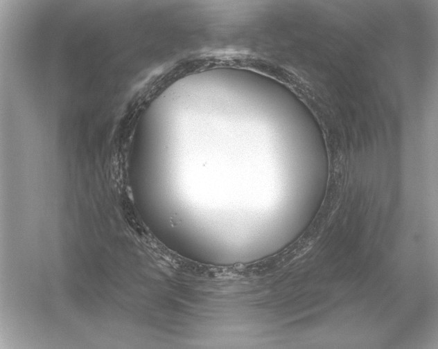 X0000051911398200507222056