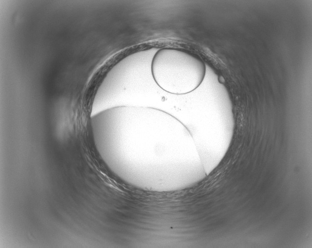 X0000051911400200507222056