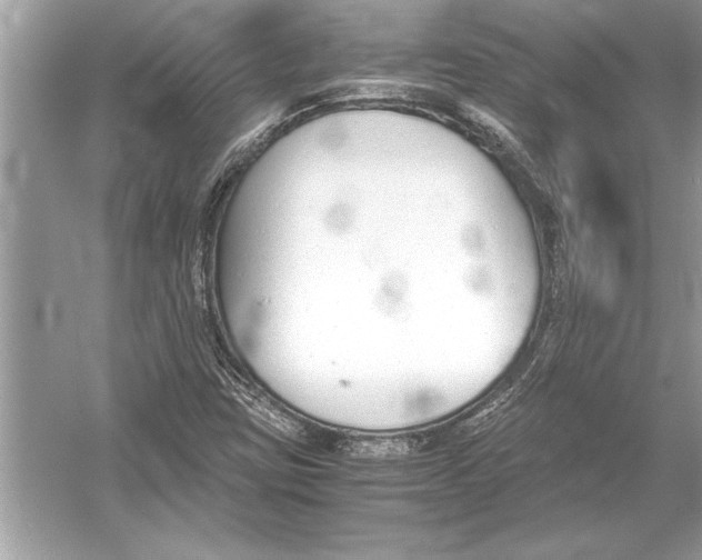 X0000051911403200507222056