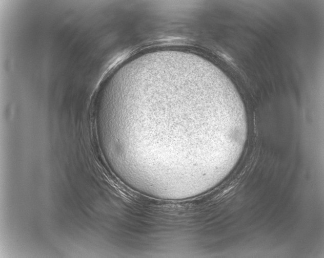 X0000051911405200507222056