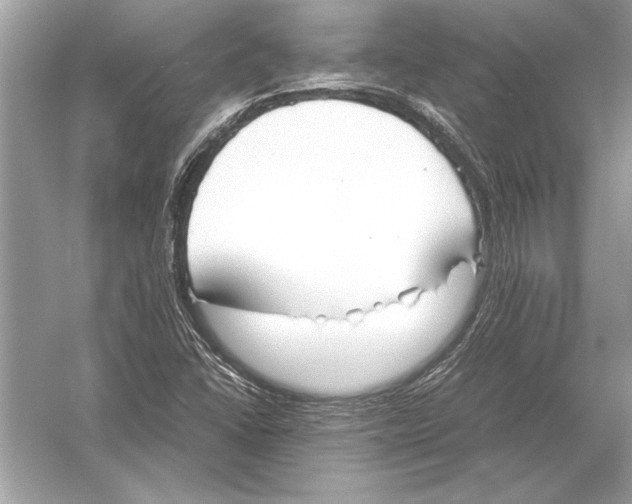 X0000051911406200507222056