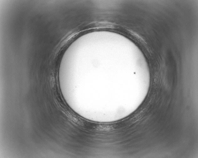 X0000051911407200507222056