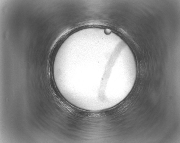 X0000051911408200507222056