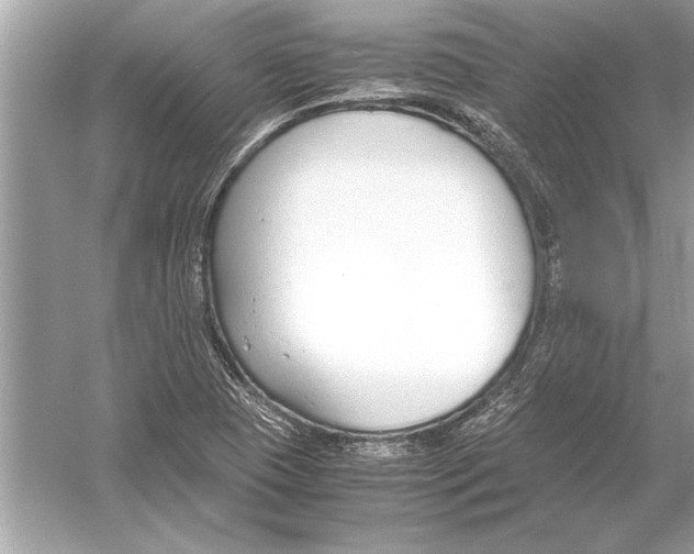 X0000051911409200507222056