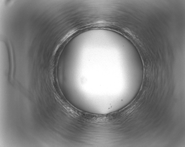 X0000051911410200507222056