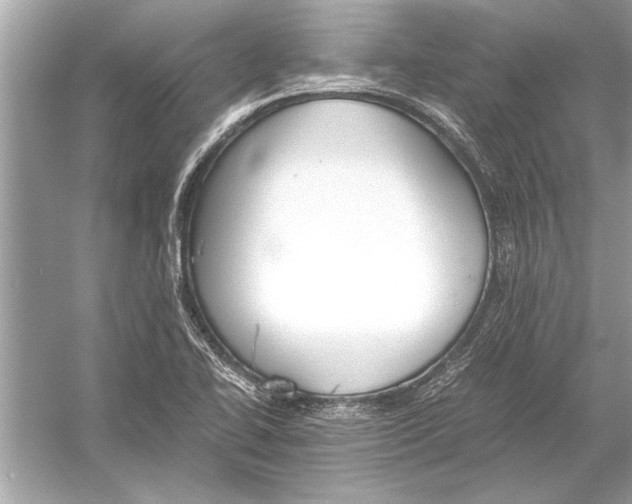 X0000051911414200507222056