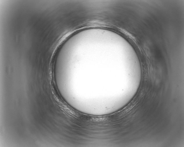 X0000051911415200507222056