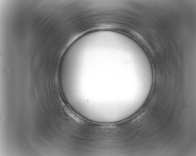 X0000051911417200507222056