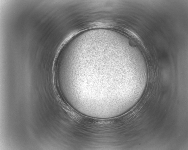 X0000051911419200507222056