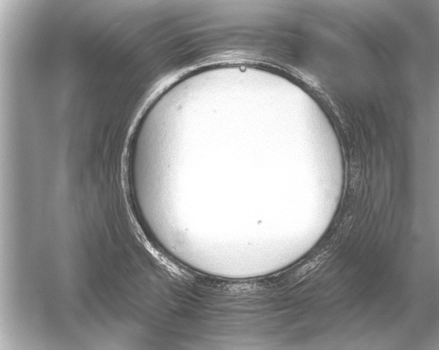 X0000051911421200507222056