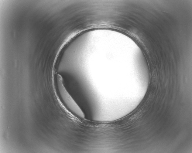 X0000051911424200507222056