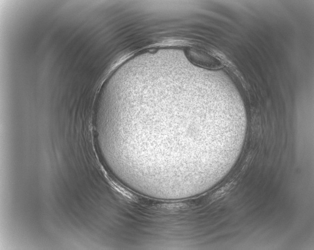 X0000051911425200507222056