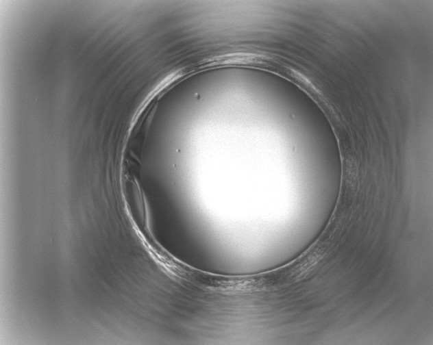 X0000051911426200507222056