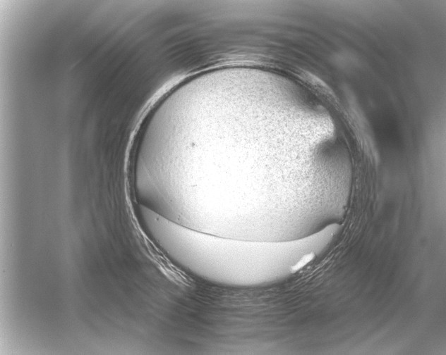 X0000051911427200507222056