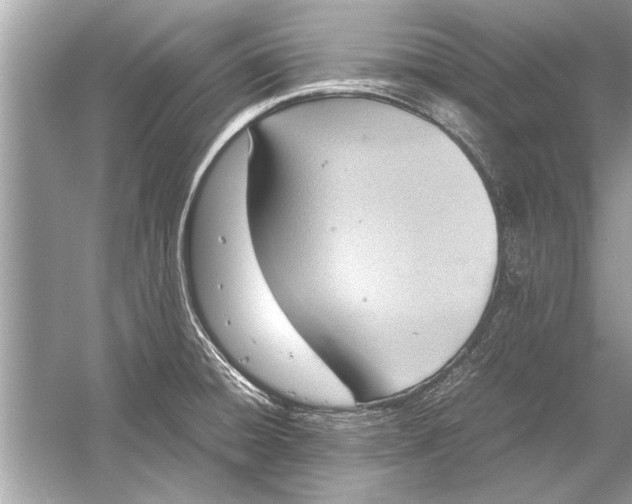 X0000051911428200507222056