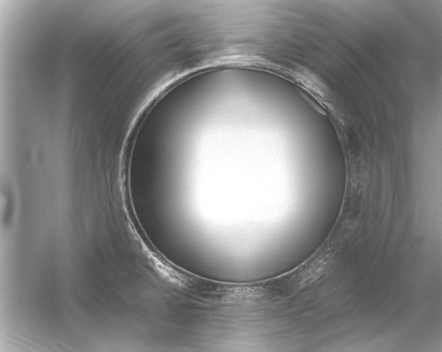 X0000051911430200507222056