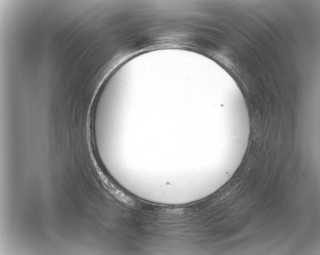 X0000051911431200507222056