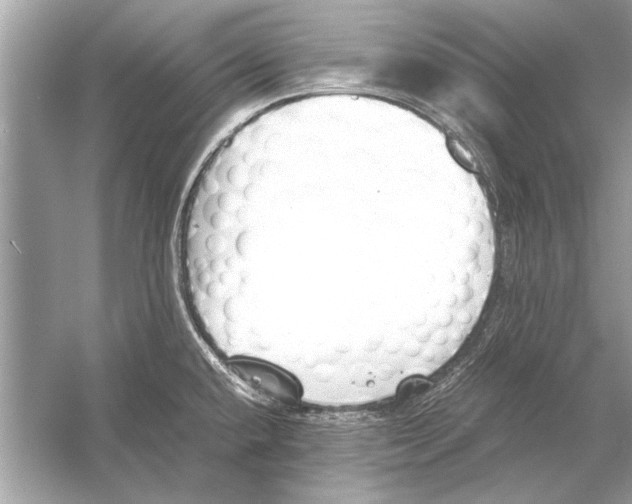 X0000051911432200507222056